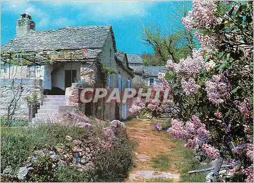 Cartes postales moderne Maison Typique des Causses
