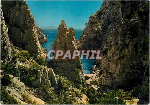 Moderne Karte Cassis sur Mer Une Rose a la Boutonniere de la Provence Calanques d'En Vau