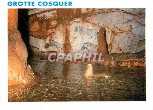 Cartes postales moderne Grotte Cosquer Entre Marseille et Cassis sous le Cap Morgiou La Grotte Decouverte en 1991 par He