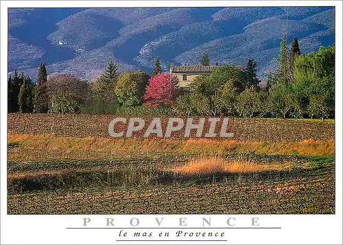 Cartes postales moderne Provence Le Mas en Provence