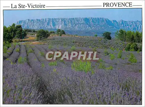 Moderne Karte Provence La Ste Victoire