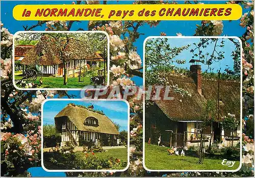 Cartes postales moderne La Normandie pays des Chaumieres Poules