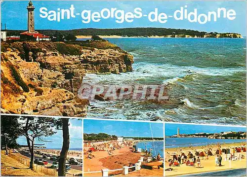 Cartes postales moderne Saint Georges de Didonne (Charente Maritime) Couleurs et Lumiere de France La Foret et la Plage