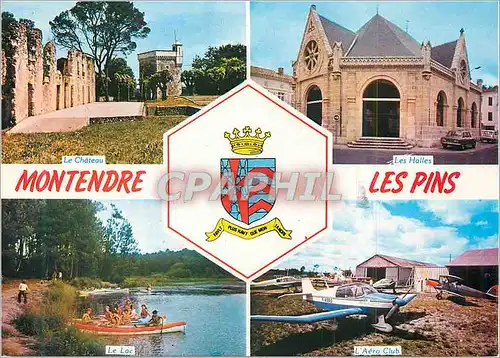 Cartes postales moderne Montendre les Pins (Char Mar) Les Ruines du Chateau avec la Tour Carree Les Halles Aero Club de