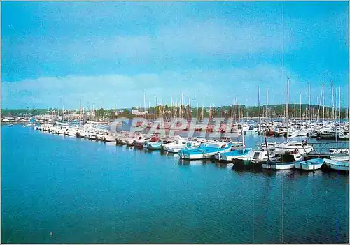 Cartes postales moderne Crozon Morgat (Finistere) Le Magnifique Port Bateaux