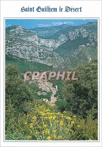 Cartes postales moderne Saint Guilbem le Desert a 40 kms de Montpellier