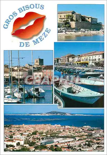 Cartes postales moderne Le Bassin de Thau (Herault) Meze (Herault) Bateaux