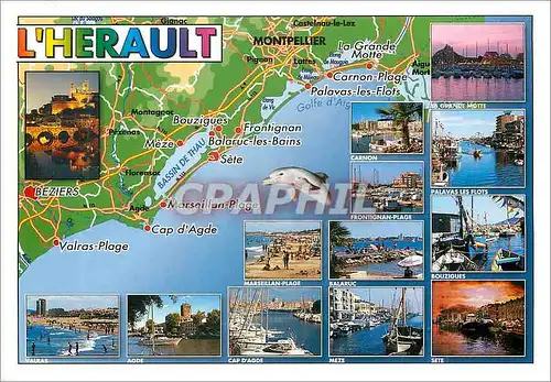 Cartes postales moderne L'Herault Dauphin La Grande Motte Valras Agde Meze Marseillan