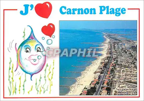 Cartes postales moderne Carnon Plage (Herault France) vue Aerienne du Front de Mer