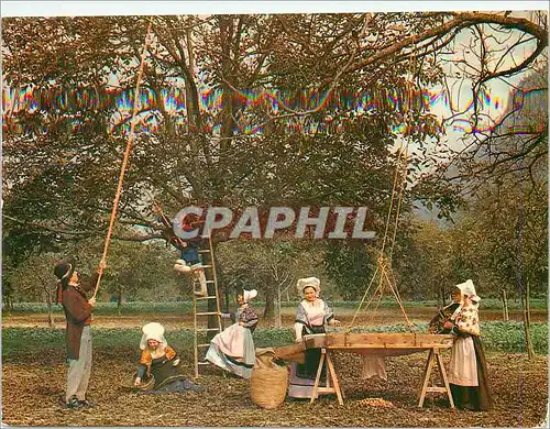 Cartes postales moderne En Parcourant le Dauphine avec la Delphinale de Grenoble au Pays des Noix Cognin les Gorges Folk