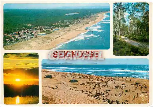 Cartes postales moderne Seignosse le Penon (Landes) Pays de Vacances