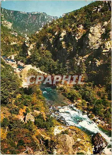 Cartes postales moderne Les Gorges du Tarn (Lozere) Couleurs et Lumiere de France le Trn au Pas de Soucy le Diable Pours