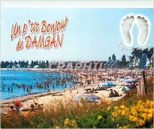 Cartes postales moderne Damgan les Plasirs de la Plage dans une Baie