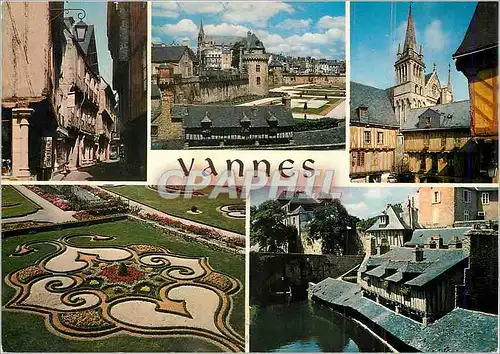 Cartes postales moderne Vannes (Gwened nom Breton) la Bretagne les Vieilles Maisons (XVIe) de la Rue Salomon