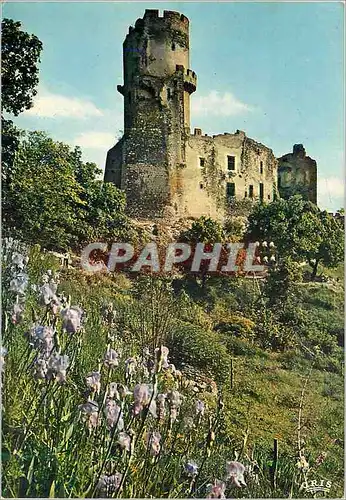 Moderne Karte Environs de Chatelguyon Chateau de Tournoel XIIe et XIVe s l'Auvergne Volvic