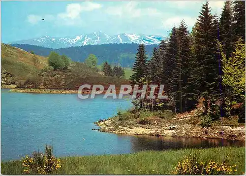 Cartes postales moderne Plateau de l'Artense Lac de Lastioulles et au Fond le Sancy (1886m) l'Auvergne Touristique