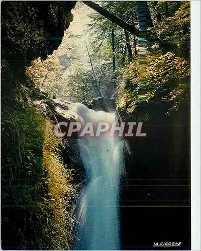 Cartes postales moderne Environs du Mont Dore (Puy de Dome) Chute du Cliergue Cascade du Plat a Barbe