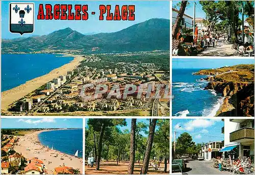 Cartes postales moderne Argeles Plage (Pyrenees Orientales) la Cote Vermeille vue Generale Aerienne l'Allee des Pins la