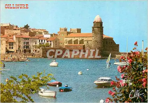 Cartes postales moderne Collioure l'Eglise