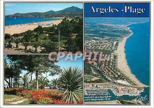 Cartes postales moderne Argeles sur Mer (Pyrenees Orientales) la Cote Vermeille la Promenade la Plage et les Alberes vue
