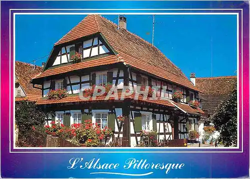 Cartes postales moderne L'Alsace Pittoresque Maisons Alsaciennes a Colombages Images de France