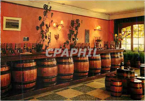 Cartes postales moderne Saint Etienne des Oullieres (Rhone) Cave Cooperative Beaujolaise