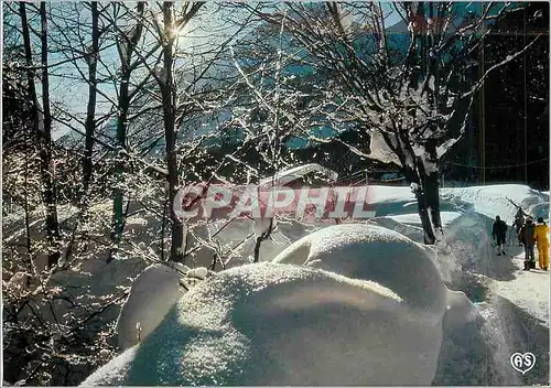 Cartes postales moderne Images de nos Montagnes en Hiver Feerie Neigeuse