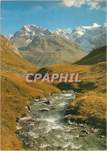 Cartes postales moderne Purete et Splendeur des Alpes la Course du Torrent dans la Montagne