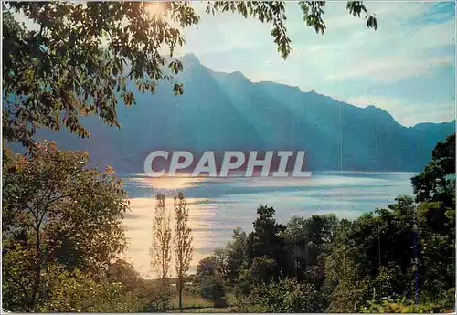 Cartes postales moderne Lac du Bourget a l'Heure Crepusculaire et Dent du Chat