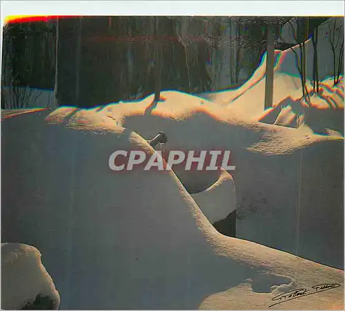 Cartes postales moderne A la Bonne Saison l'on s'occupe de Moi  l'Hiver je suis bon a rien Abandonne a ma Solitude Hiver