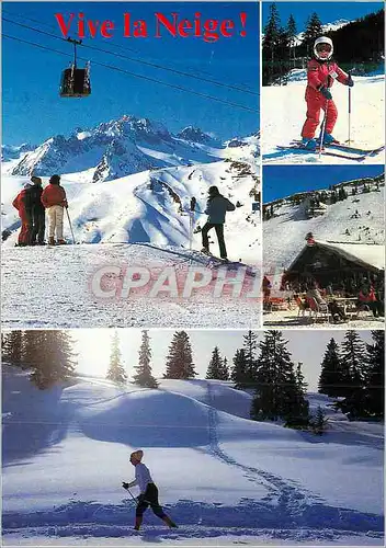 Cartes postales moderne Vive la Neige Images de chez Nous
