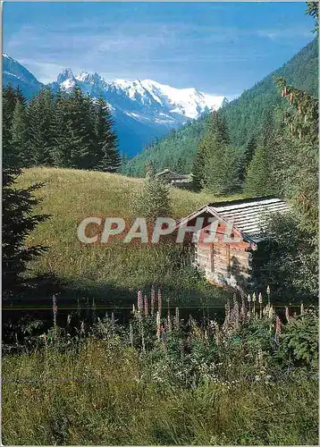 Cartes postales moderne Vallee de Chamonix le Massif du Mont Blanc Pierre Tairraz Horizons Cimes et Lumieres