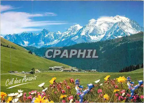 Cartes postales moderne Col des Aravis (Hte Savoie) alt 1498m vue Panoramique et le Massif du Mont Blanc 4807m
