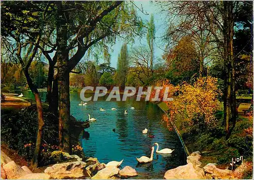 Cartes postales moderne Paris Couleurs et Lumiere de France Le Parc Montsouris Cygnes