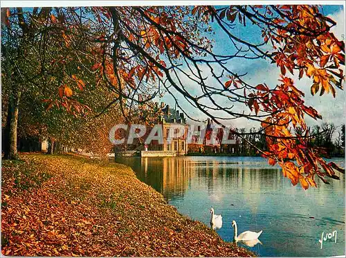 Cartes postales moderne Chateau de Fontainebleau (Seine et Marne) Couleurs et Lumiere de France L'Etang des Carpes et le