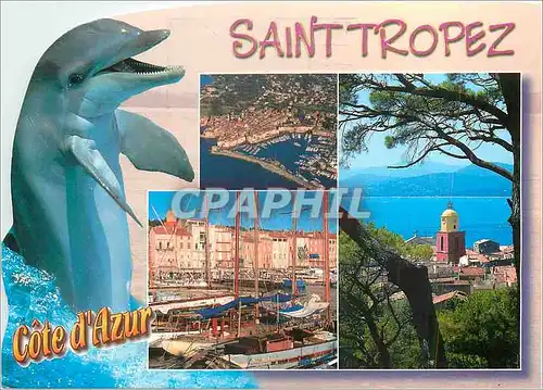 Moderne Karte Saint Tropez Cote d'Azur Dauphin Bateau