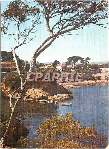 Cartes postales moderne La Ciotat Lumiere et Beaute de la Cote d'Azur La Calanque du Mugel