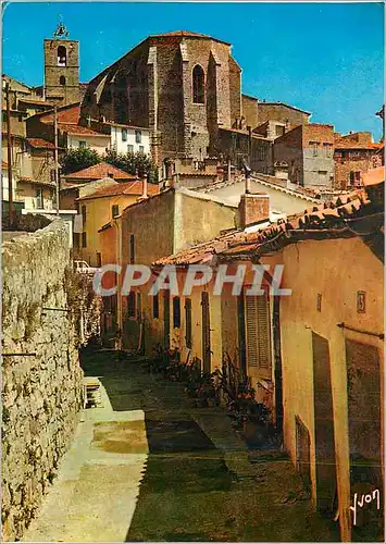 Cartes postales moderne Hyeres (Var) La Cote d'Azur Miracle de la Nature Couleurs et Lumiere de France L'Eglise Saint Pa