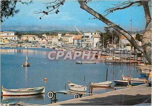 Cartes postales moderne Le Brusc (Var) Le Port et les Quais Bateaux