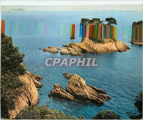 Cartes postales moderne Bormes les Mimosas (Var) Environs de la Londe et du Lavandou Cote d'Azur France L'Estagnol Ilot