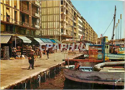 Cartes postales moderne Toulon (Var) La Cote d'Azur Miracle de la Nature Couleurs et Lumiere de France Quai de Stalingra