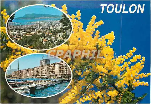 Cartes postales moderne Souvenir de Toulon Cote Varoise Bateaux