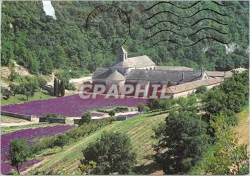 Moderne Karte Abbaye Notre Dame de Senanque (Gordes Vaucluse) Monastere Cisterien Vue Generale