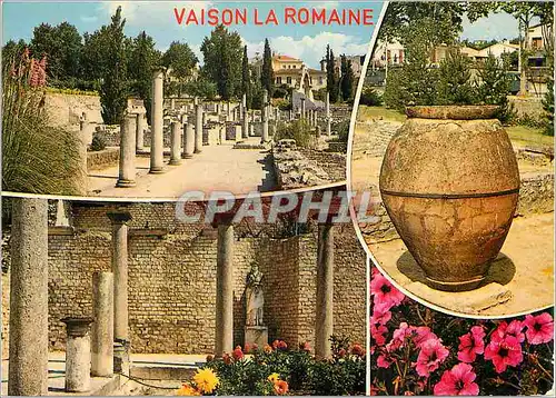 Moderne Karte Vaison la Romaine (Vaucluse) Ruines de la Ville Romaine