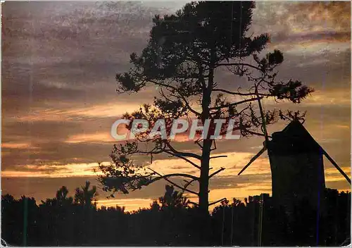 Cartes postales moderne Maison de Vendee