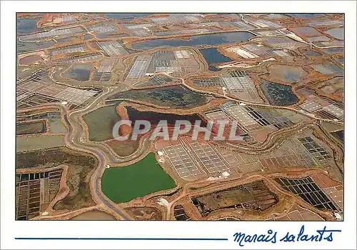 Cartes postales moderne Marais Salants (Vue aerienne) De Mai a Septembre Le Paludier Cueille a l'Aide d'un grand Rateau