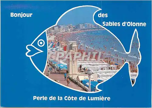 Cartes postales moderne Les Sables d'Olonne (Vendee) Perle de la Cote de Lumiere Poisson