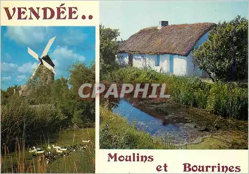 Cartes postales moderne La Vendee Touristique Bourrines et Moulins