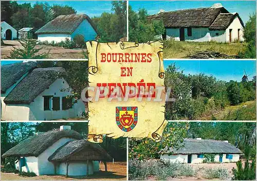 Cartes postales moderne Bourrines en Vendee