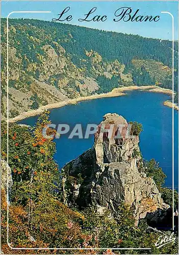 Cartes postales moderne Le Lac Blanc (Superficie 29 Hectares) En Pays Vosgien Le Rocher Chateau Hans dominant